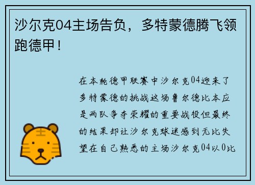 沙尔克04主场告负，多特蒙德腾飞领跑德甲！