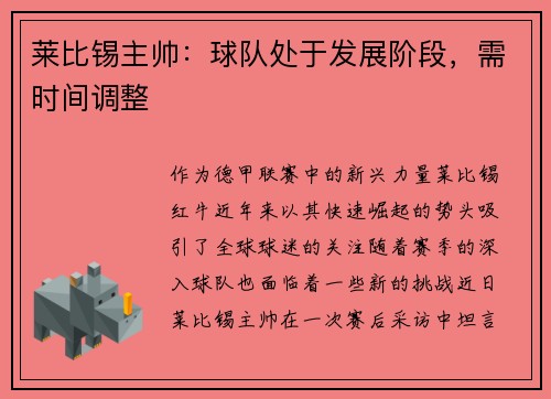 莱比锡主帅：球队处于发展阶段，需时间调整